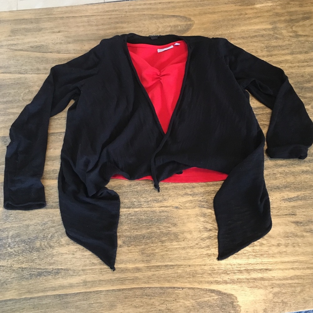 Torrid Waist  Length Sweater